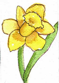 "Spring Has Sprung" by Shirley A. Diedrich, Fitchburg WI - Watercolor & Ink